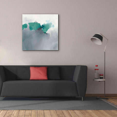 Image of 'Dark To Light Peacock' by Mike Schick, Giclee Canvas Wall Art,37x37