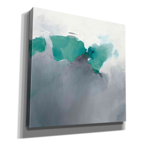 Image of 'Dark To Light Peacock' by Mike Schick, Giclee Canvas Wall Art