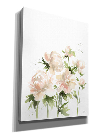 Image of 'Peonies I' by Katrina Pete, Giclee Canvas Wall Art
