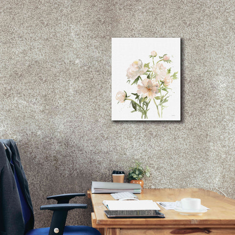 Image of 'Peonies II' by Katrina Pete, Giclee Canvas Wall Art,20x24