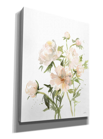 Image of 'Peonies II' by Katrina Pete, Giclee Canvas Wall Art