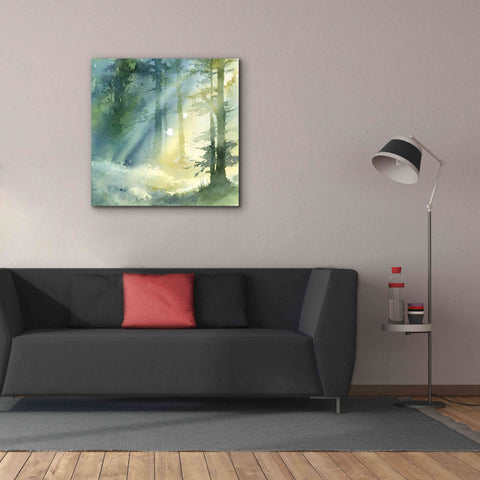 Image of 'Shady Grove' by Katrina Pete, Giclee Canvas Wall Art,37x37