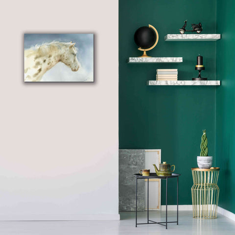 Image of 'Dapple Gray Horse' by Katrina Pete, Giclee Canvas Wall Art,26x18