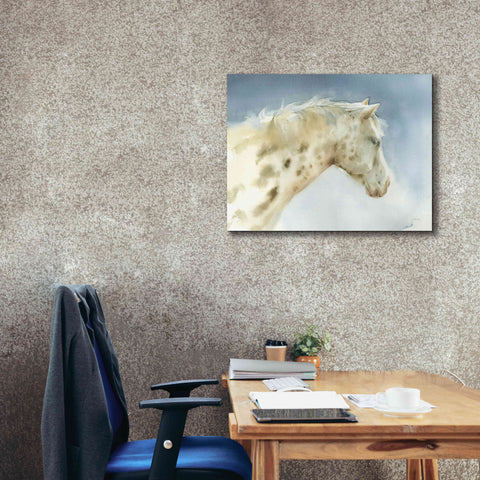 Image of 'Dapple Gray Horse' by Katrina Pete, Giclee Canvas Wall Art,34x26