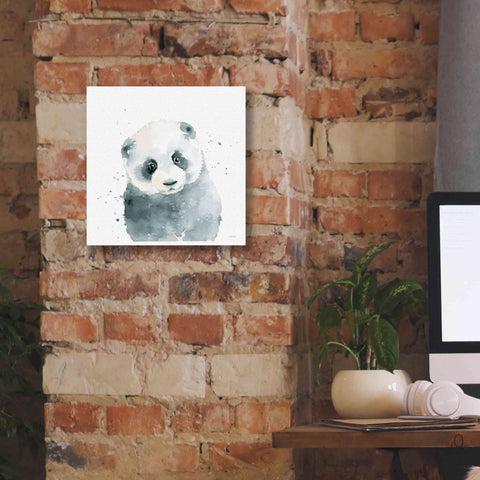 Image of 'Panda Cub' by Katrina Pete, Giclee Canvas Wall Art,12x12