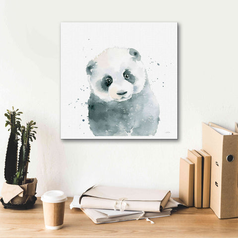 Image of 'Panda Cub' by Katrina Pete, Giclee Canvas Wall Art,18x18