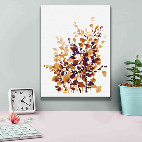 Image of 'Brown Botanicals' by Katrina Pete, Giclee Canvas Wall Art,12x16