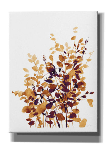 Image of 'Brown Botanicals' by Katrina Pete, Giclee Canvas Wall Art