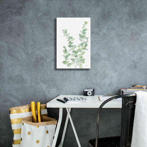Image of 'Eucalyptus II' by Katrina Pete, Giclee Canvas Wall Art,12x18