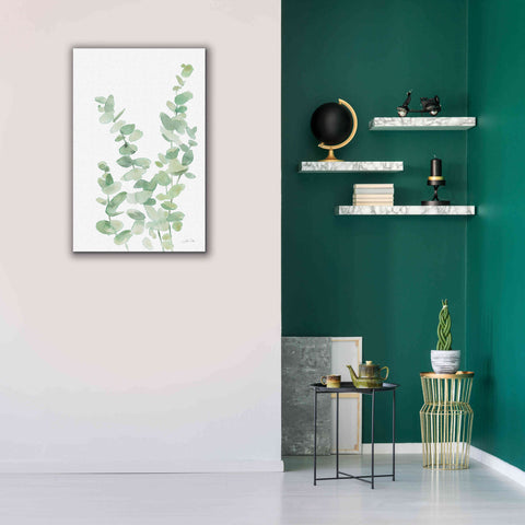 Image of 'Eucalyptus II' by Katrina Pete, Giclee Canvas Wall Art,26x40