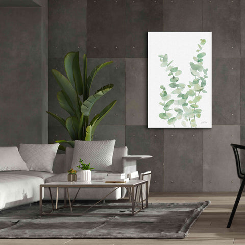Image of 'Eucalyptus II' by Katrina Pete, Giclee Canvas Wall Art,40x60