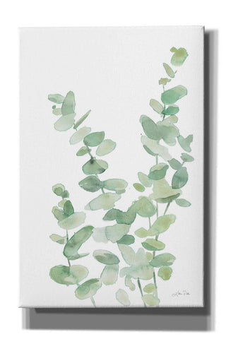 Image of 'Eucalyptus II' by Katrina Pete, Giclee Canvas Wall Art