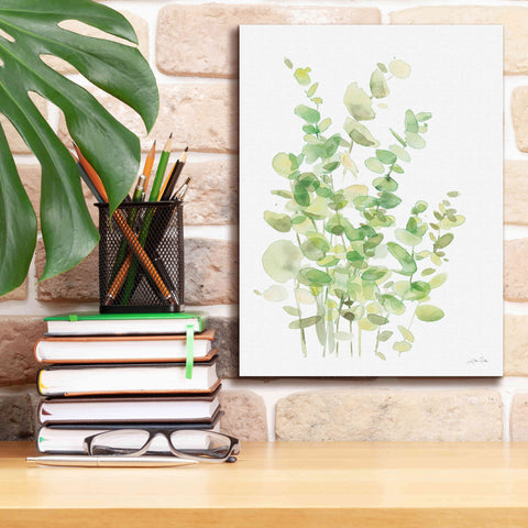 Image of 'Eucalyptus III' by Katrina Pete, Giclee Canvas Wall Art,12x16