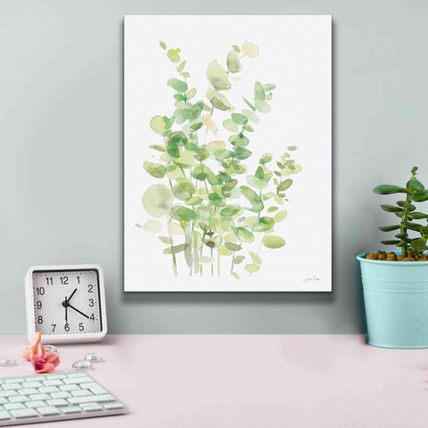 Image of 'Eucalyptus III' by Katrina Pete, Giclee Canvas Wall Art,12x16