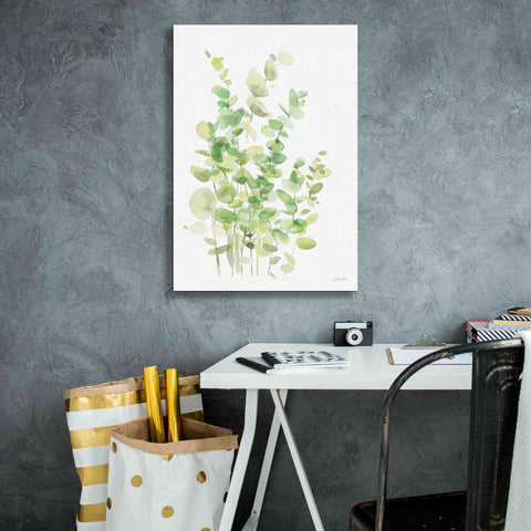 Image of 'Eucalyptus III' by Katrina Pete, Giclee Canvas Wall Art,18x26