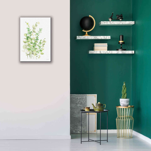 Image of 'Eucalyptus III' by Katrina Pete, Giclee Canvas Wall Art,18x26