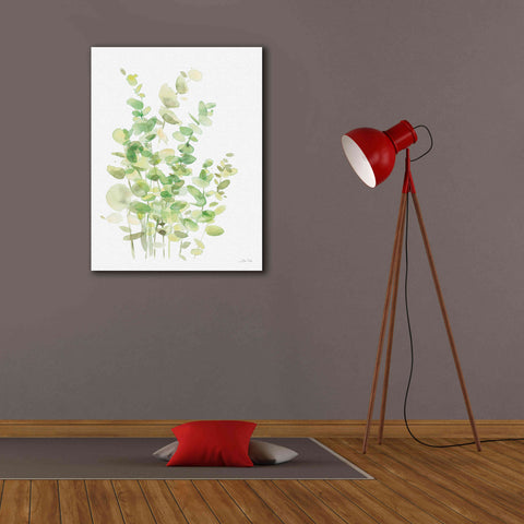 Image of 'Eucalyptus III' by Katrina Pete, Giclee Canvas Wall Art,26x34