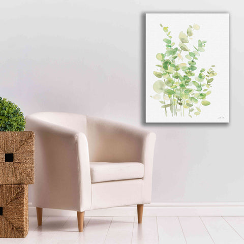 Image of 'Eucalyptus III' by Katrina Pete, Giclee Canvas Wall Art,26x34