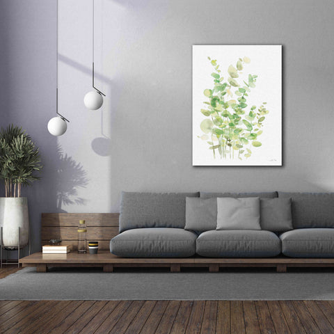 Image of 'Eucalyptus III' by Katrina Pete, Giclee Canvas Wall Art,40x54
