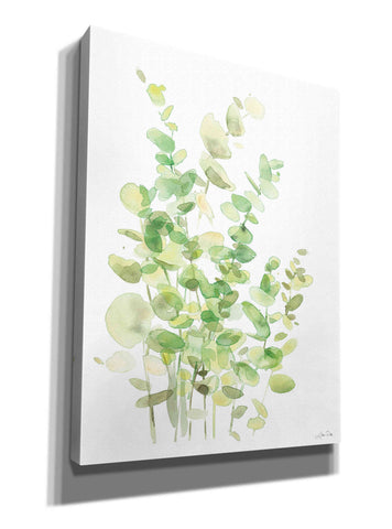 Image of 'Eucalyptus III' by Katrina Pete, Giclee Canvas Wall Art