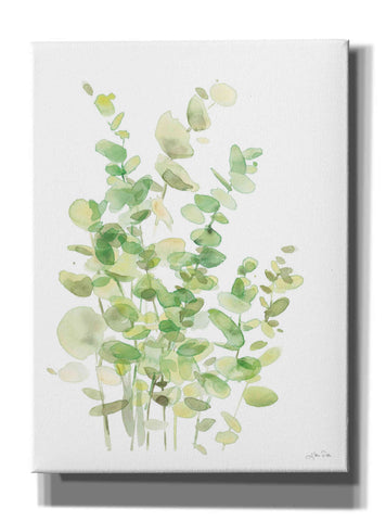 Image of 'Eucalyptus III' by Katrina Pete, Giclee Canvas Wall Art