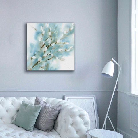 Image of 'Pussy Willows Square' by Katrina Pete, Giclee Canvas Wall Art,37x37