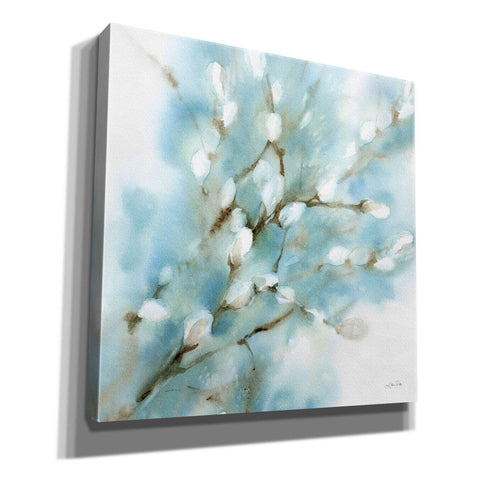 Image of 'Pussy Willows Square' by Katrina Pete, Giclee Canvas Wall Art