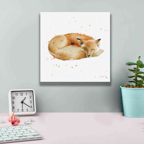 Image of 'Sleeping Fox' by Katrina Pete, Giclee Canvas Wall Art,12x12