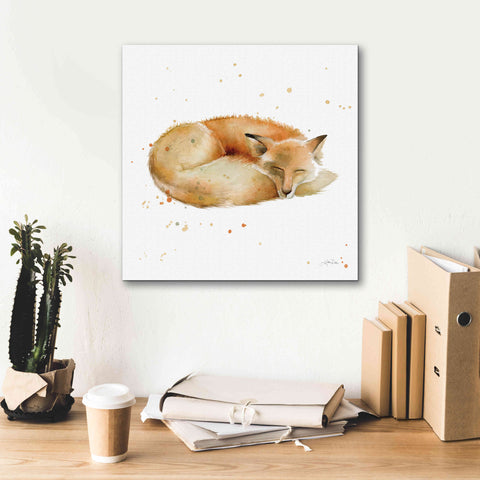 Image of 'Sleeping Fox' by Katrina Pete, Giclee Canvas Wall Art,18x18