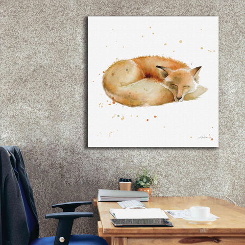 Image of 'Sleeping Fox' by Katrina Pete, Giclee Canvas Wall Art,37x37