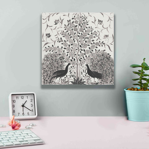 Image of 'Peacock Garden VIII BW' by Miranda Thomas, Giclee Canvas Wall Art,12x12