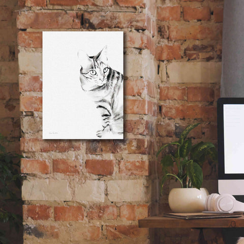 Image of 'Sadie' by Alan Majchrowicz, Giclee Canvas Wall Art,12x16