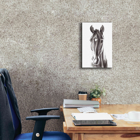 Image of 'Le Cheval Noir' by Alan Majchrowicz, Giclee Canvas Wall Art,12x18