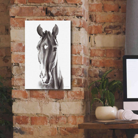 Image of 'Le Cheval Noir' by Alan Majchrowicz, Giclee Canvas Wall Art,12x18