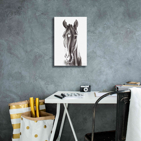 Image of 'Le Cheval Noir' by Alan Majchrowicz, Giclee Canvas Wall Art,12x18