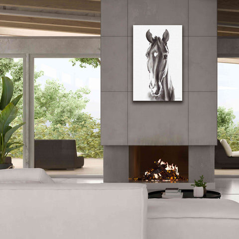 Image of 'Le Cheval Noir' by Alan Majchrowicz, Giclee Canvas Wall Art,26x40