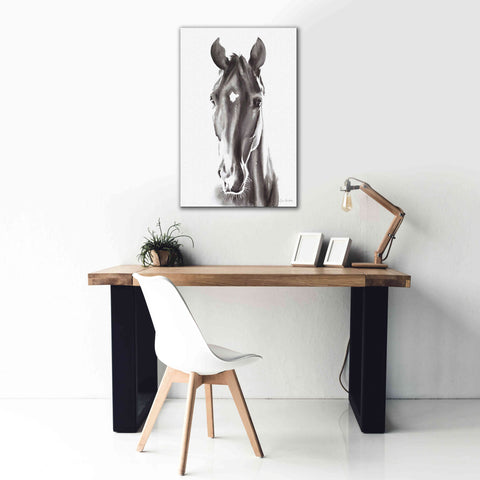 Image of 'Le Cheval Noir' by Alan Majchrowicz, Giclee Canvas Wall Art,26x40