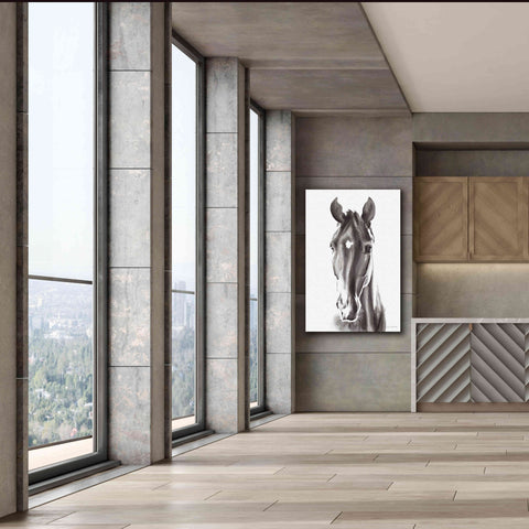 Image of 'Le Cheval Noir' by Alan Majchrowicz, Giclee Canvas Wall Art,40x60