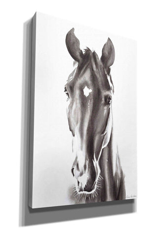 Image of 'Le Cheval Noir' by Alan Majchrowicz, Giclee Canvas Wall Art