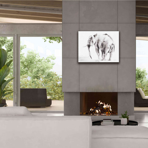 Image of 'Lone Elephant Gray' by Alan Majchrowicz, Giclee Canvas Wall Art,34x26