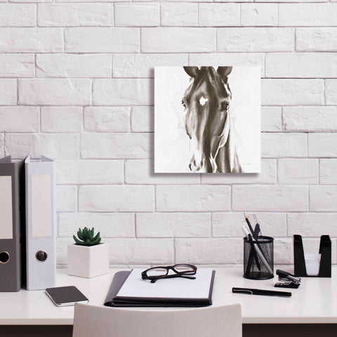 Image of 'Le Cheval Noir Brown' by Alan Majchrowicz, Giclee Canvas Wall Art,12x12