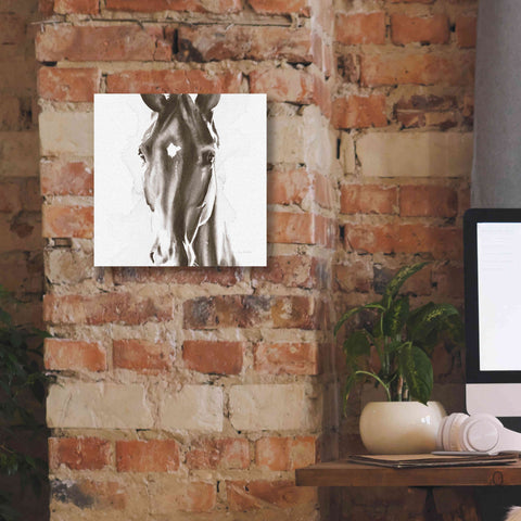 Image of 'Le Cheval Noir Brown' by Alan Majchrowicz, Giclee Canvas Wall Art,12x12