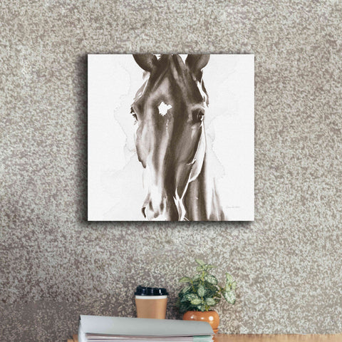 Image of 'Le Cheval Noir Brown' by Alan Majchrowicz, Giclee Canvas Wall Art,18x18