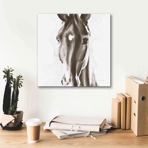 Image of 'Le Cheval Noir Brown' by Alan Majchrowicz, Giclee Canvas Wall Art,18x18