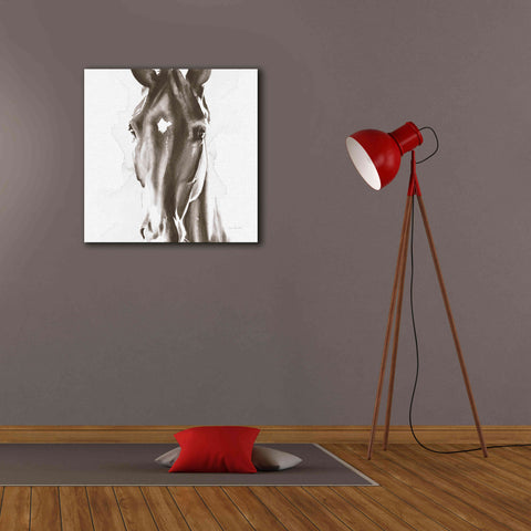 Image of 'Le Cheval Noir Brown' by Alan Majchrowicz, Giclee Canvas Wall Art,26x26