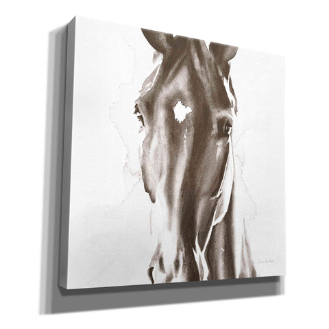 Image of 'Le Cheval Noir Brown' by Alan Majchrowicz, Giclee Canvas Wall Art