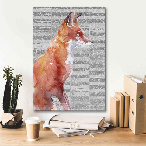 Image of 'Sly As A Fox Newsprint' by Alan Majchrowicz, Giclee Canvas Wall Art,18x26
