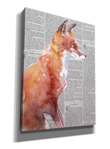 Image of 'Sly As A Fox Newsprint' by Alan Majchrowicz, Giclee Canvas Wall Art