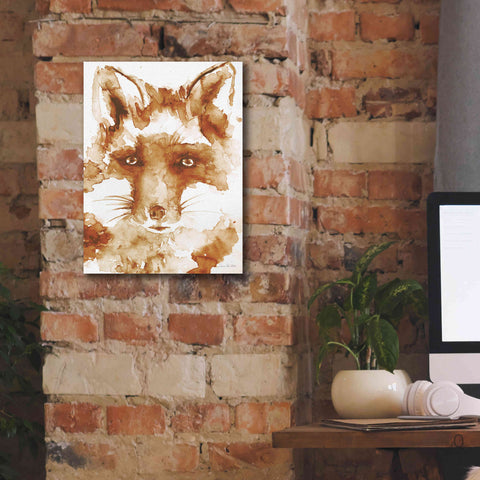 Image of 'Sweet And Sour Brown' by Alan Majchrowicz, Giclee Canvas Wall Art,12x16