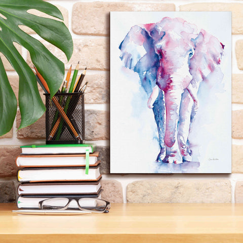 Image of 'An Elephant Never Forgets V2' by Alan Majchrowicz, Giclee Canvas Wall Art,12x16